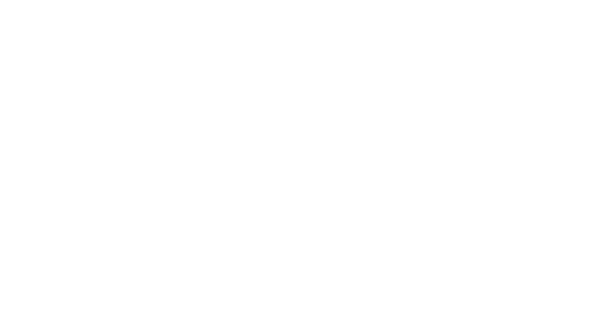 Horizon Business Integration Consulting